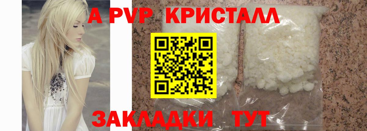 Alfa_PVP СК КРИС Архангельск